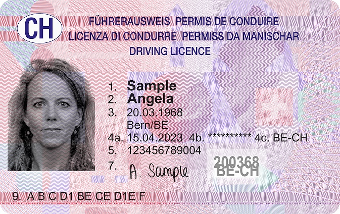Führerschein Kaufen Ausland