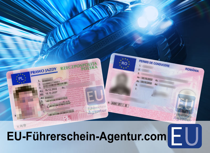 Führerschein Ohne Mpu Kaufen