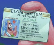 Spongebob Führerschein Kaufen